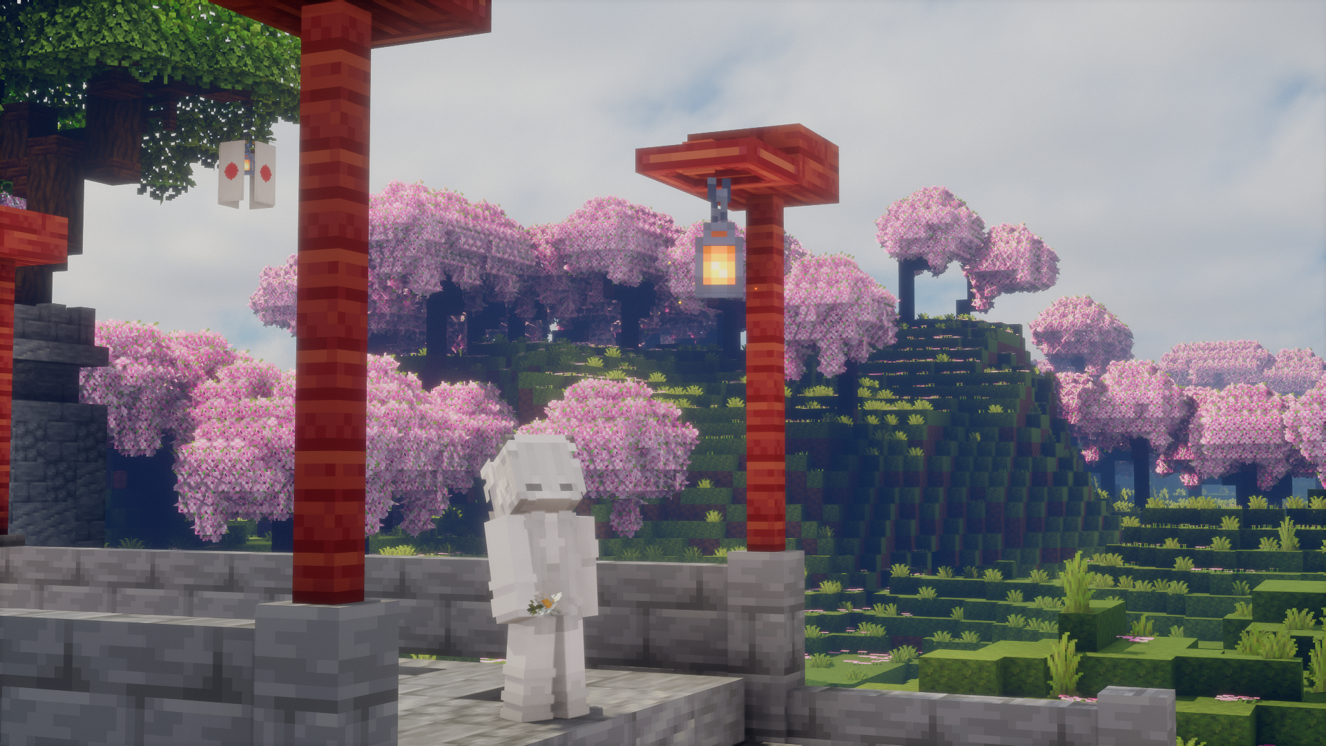 NovaChillMC image 2